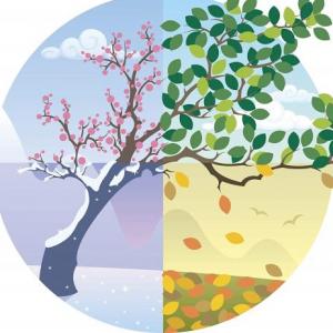 Seasons 