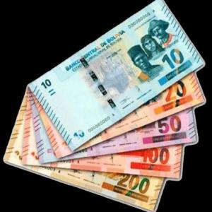 Bolivian Money