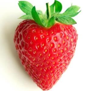 Portada del juego Encontrando las parejas de las  frutas – Lengua