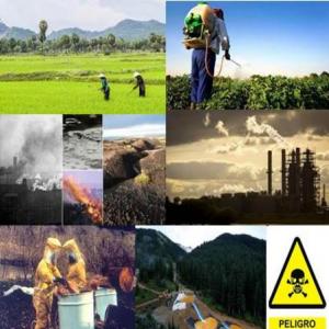 Causas y Consecuencias de la Contaminación Ambiental