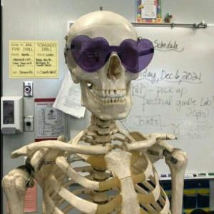 ANATOMIA