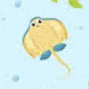 quiz de animales