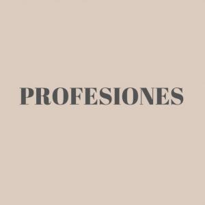 Las distintas profesiones