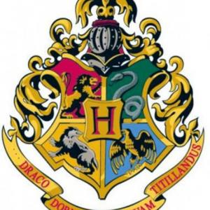 Harry Potter cluba 40 galdera