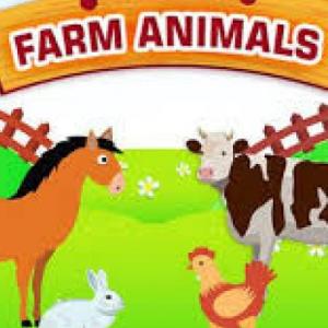 FARM ANIMALS