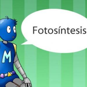 Imagen de portada del videojuego educativo: ¿Cuánto sabes sobre La fotosíntesis?, de la temática Biología
