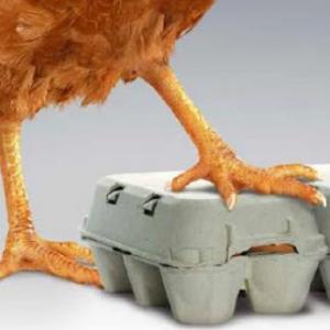 Definiciones- vacunas