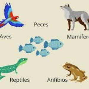 Trivia de los vertebrados