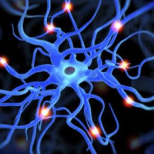 Neuronas 