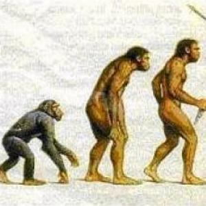 Evolución humana