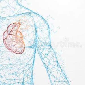 aprendizaje en anatomia