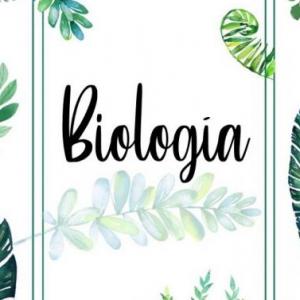 Imagen de portada del videojuego educativo: Ejemplos de celulas Especializadas, de la temática Biología