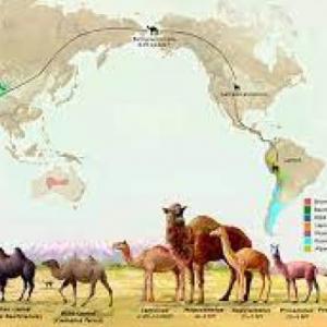 Patrones y tipos de biodiversidad