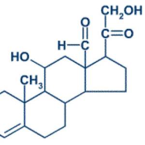 Colesterol y acido palmitico