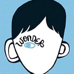 Imagen de portada del videojuego educativo: Wonder, la lección de August., de la temática Literatura