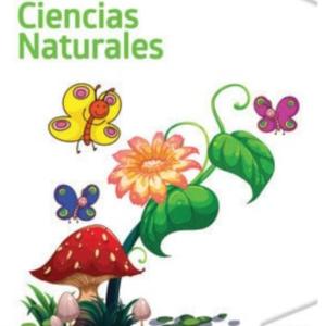 Los Ecosistemas 