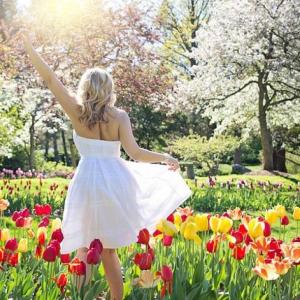 The Spring