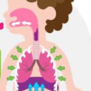 Sistema Respiratorio