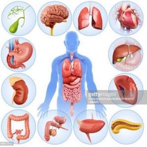 QUE TANTO CONOCES TU CUERPO?