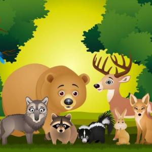 ANIMALES DEL BOSQUE