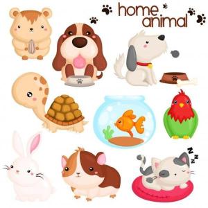 Pets (Home Animals names)