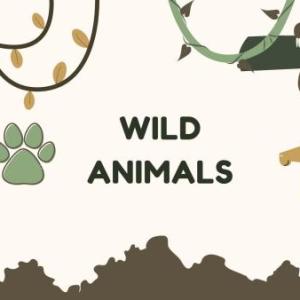 WILD ANIMALS