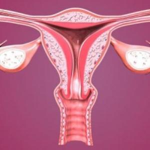 SISTEMA REPRODUCTOR FEMENINO