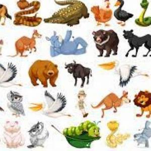Animales salvajes