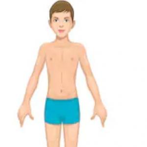 BODY PARTS
