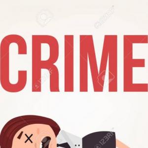 DELITOS CONTRA LA VIDA Y LA INTEGRIDAD CORPORAL