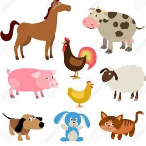 Los animales