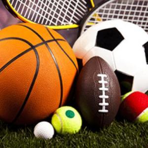 Portada del juego world sport – Idiomas