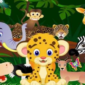 animales del zoológico 