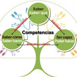 Competencias y Rol docente