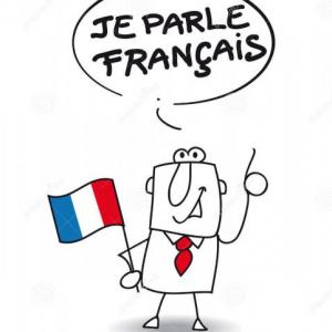 Les connaissances basiques du français