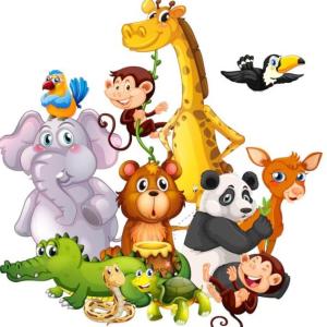 AVENTURA ANIMAL