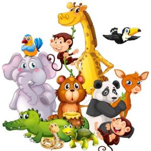 AVENTURA ANIMAL