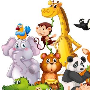 AVENTURA ANIMAL