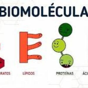 Reconocimiento de Biomoléculas