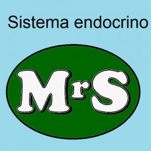 Imagen de portada del videojuego educativo: Sistema endocrino MrS, de la temática Ciencias