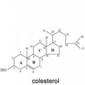 Colesterol