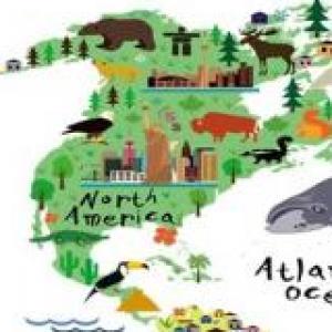 Animals around the world