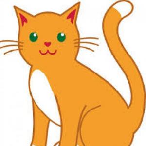 Imagen de portada del videojuego educativo: los gatos de mi casa, de la temática Literatura
