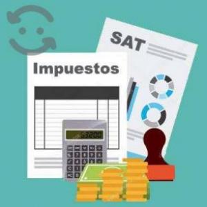 Disposiciones generales de las personas físicas