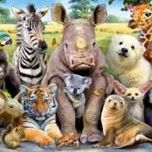 Imagen de portada del videojuego educativo: animales adivinador, de la temática Biología