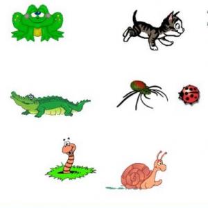 Imagen de portada del videojuego educativo: Animales Invertebrados y Vertebrados tercer grado de Primaria, de la temática Ciencias