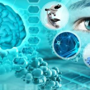 Neurociencia