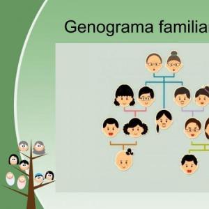 Imagen de portada del videojuego educativo: Genograma, de la temática Personalidades