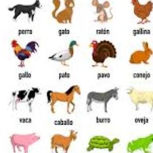 LOS ANIMALES