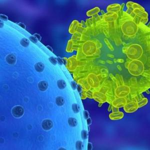 Virus